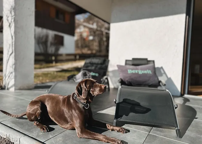 Apartment Kleine Bergzeit *
